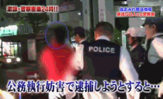 【逮捕令】日本警察VS暴走族